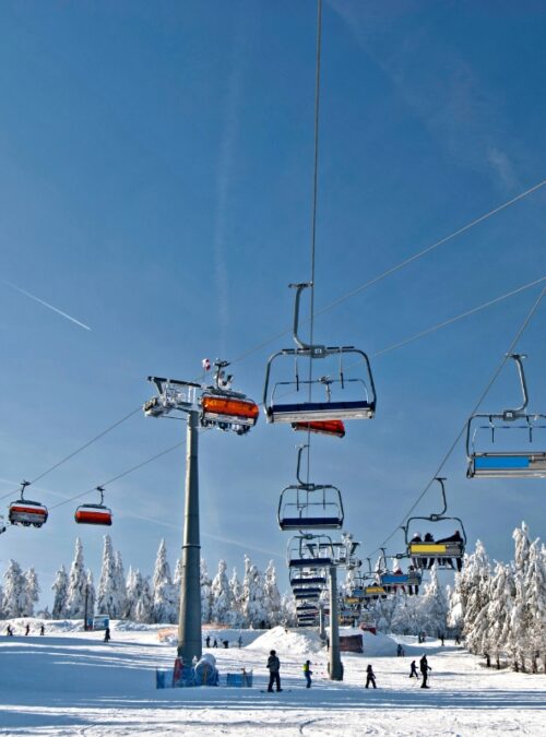 Zieleniec Sport Arena